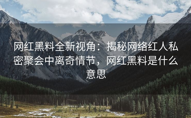 网红黑料全新视角：揭秘网络红人私密聚会中离奇情节，网红黑料是什么意思